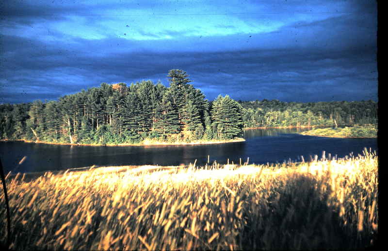 4-23-2009_032.jpg