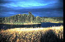 4-23-2009_032.jpg