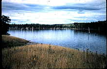 4-23-2009_033.jpg
