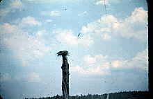 4-23-2009_037.jpg