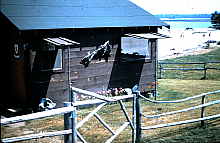 4-23-2009_039.jpg