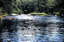 4-23-2009_047.jpg